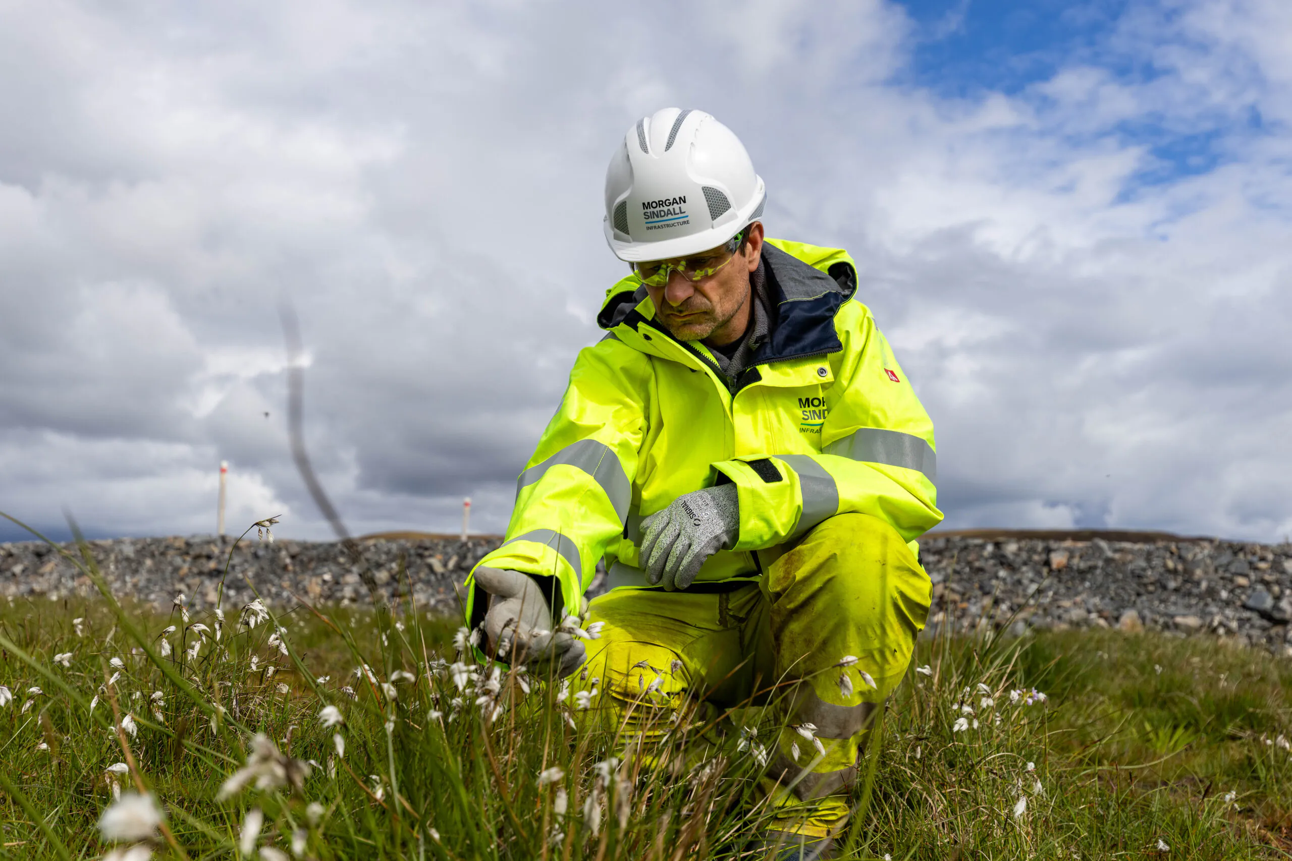 Individual in safety gear crouches in a grassy field inspecting vegetation with wind turbines on the horizon.