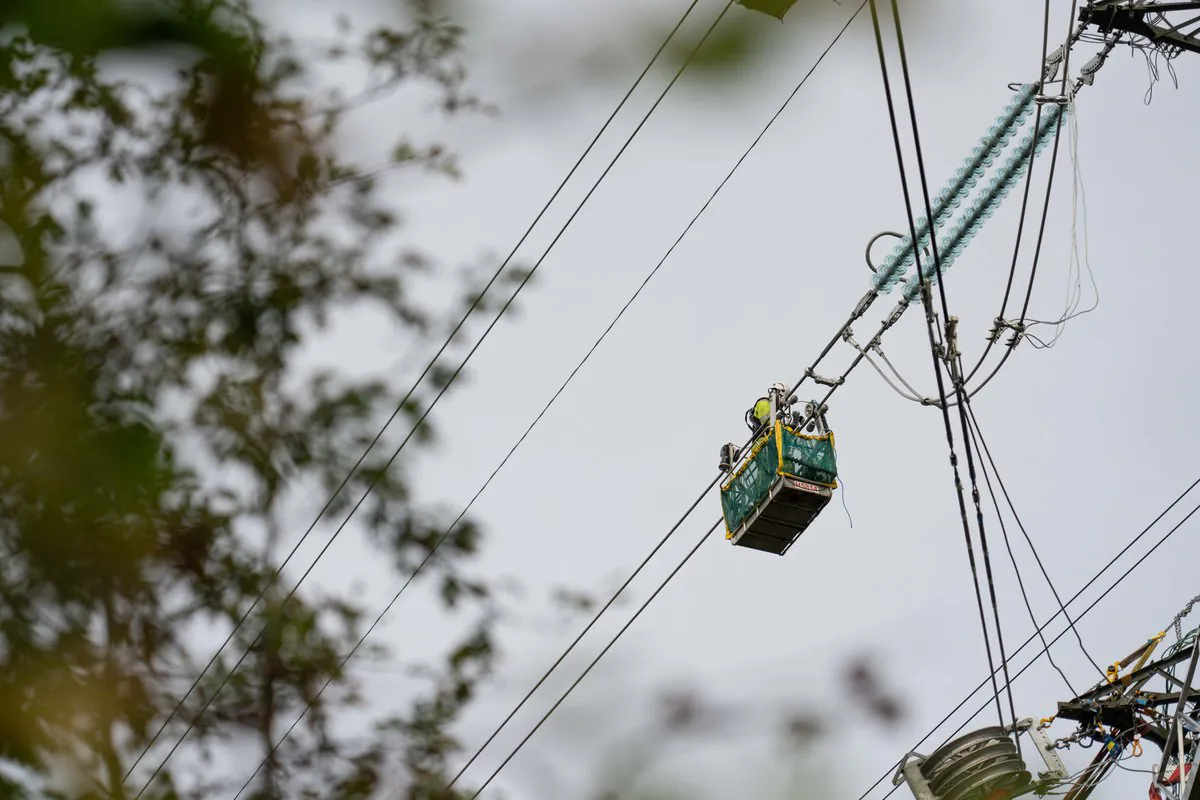 Workers on an elevated platform perform maintenance on overhead power lines surrounded by trees.