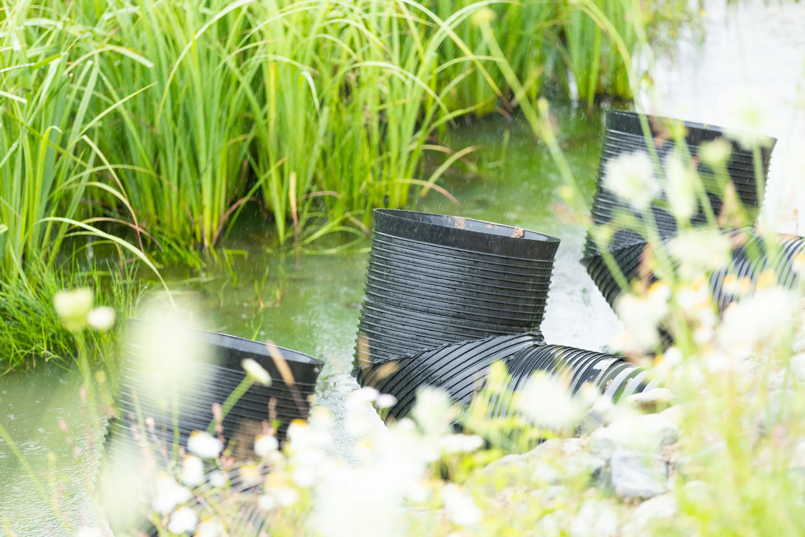 Black plastic pipes submerged in water among wetland plants creating natural filtration zones.