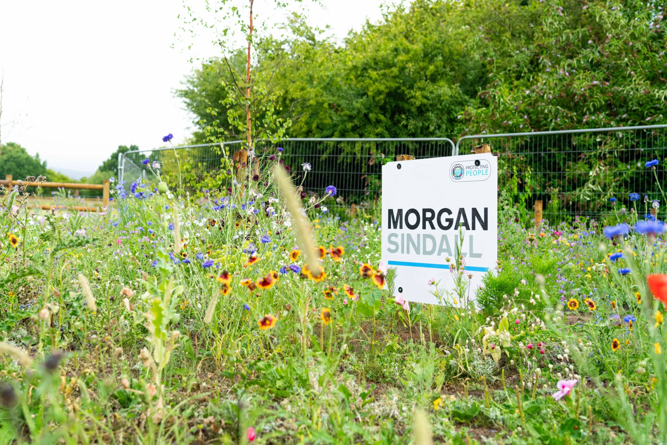 Close-up of wildflowers surrounding a "Morgan Sindall" sign, indicating landscaping or construction work; fencing in the background.