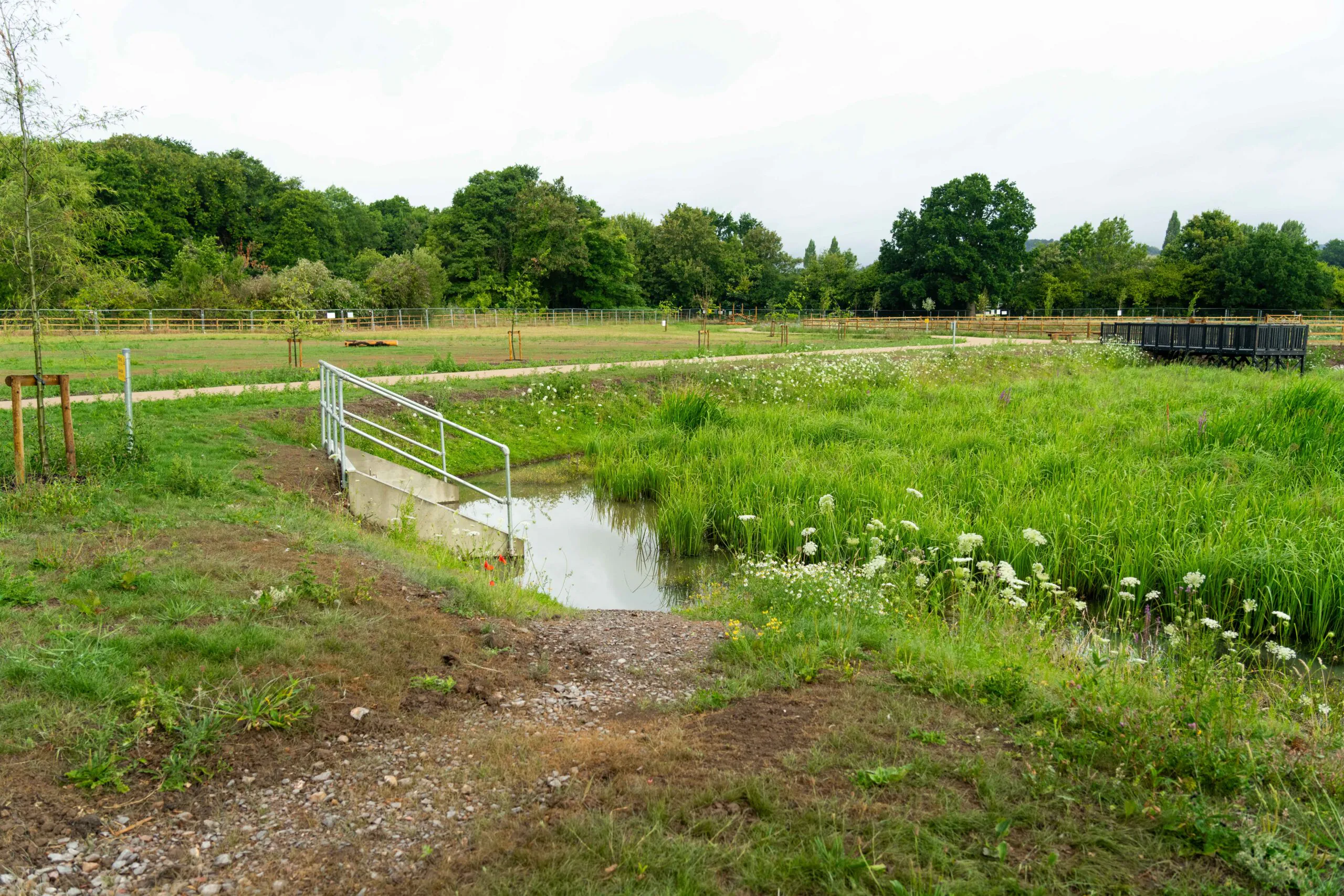View of a landscaped pathway with trees and construction materials placed nearby.