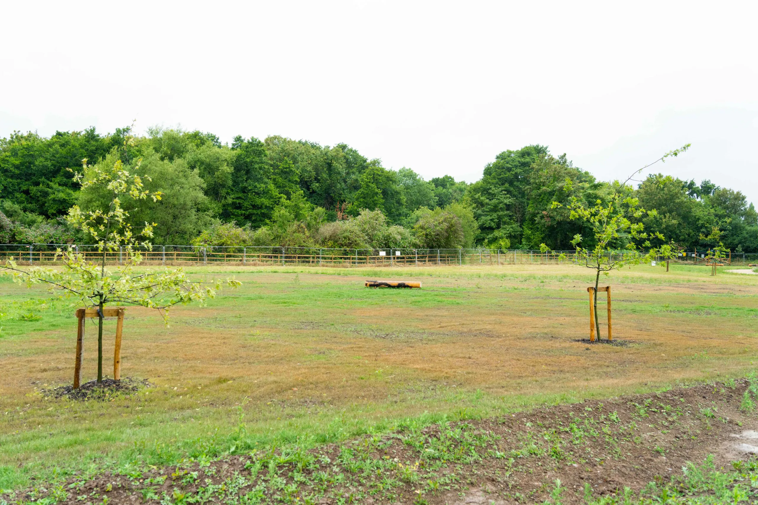 Landscaped area featuring a pathway made of black panels, surrounded by greenery and construction elements.