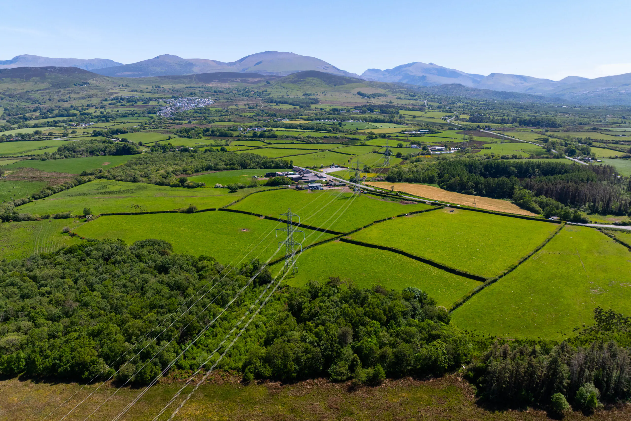 MSI Wales May 2025-267